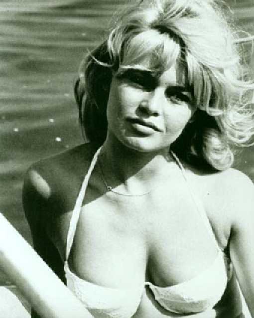 Brigitte Bardot Her Bikini