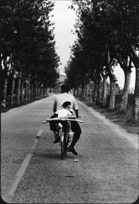 In “Provence 1955,” Elliott Erwitt’s iconic black-and-white photograph of French country life, a man pedals a bicycle down a deserted road flanked by two parallel lines of tall trees. A young boy sitting on back of the bike turns around to look at the photographer. Man and boy wear dark berets. Two long baguettes are strapped on the back of the bicycle, their horizontal lines contrasting with the vertical composition of riders, road, and trees. [Source: Grains of Light]